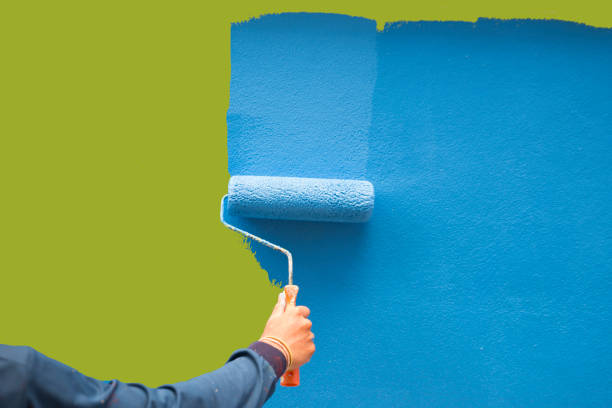 Best Black Mold Removal  in Moorpark, CA